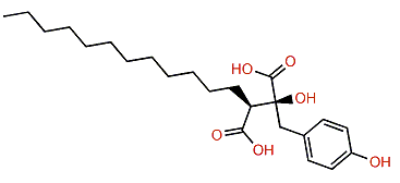 (2S,3S)-3-Dodecyl-2-hydroxy-2-(4-hydroxybenzyl)-succinic acid